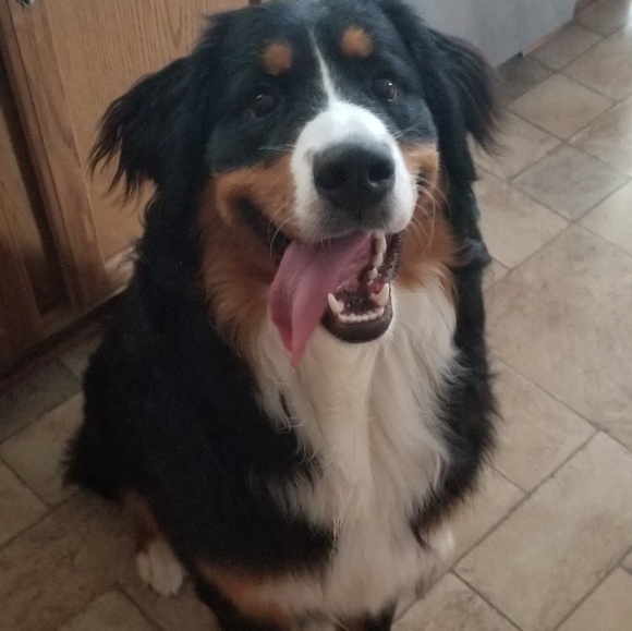 Meet your Posher, Jen - Picture 2 of 2